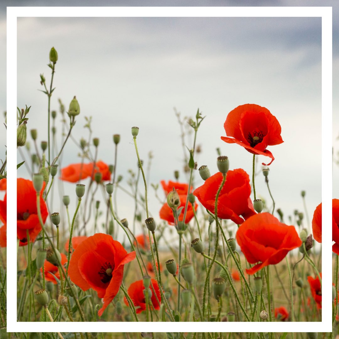 #CanadaRemembers #LestWeForget