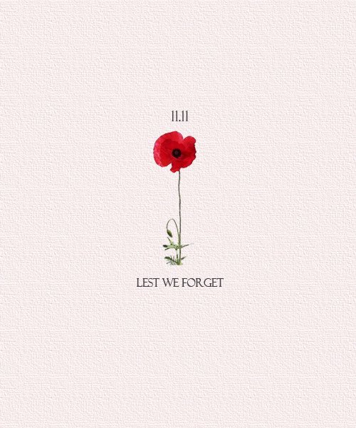 cheyenneclause's tweet photo. Thank you to all those that fought for this country. Lest we forget #RemembranceDay https://t.co/grplJ6AtNq