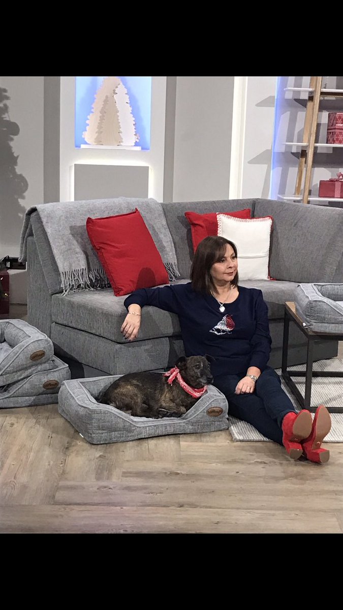 BexRedfearn's tweet photo. Everything we need (including our beloved four-legged buddies) for the perfect Silentnight sleep💤💤 at 8pm @qvcuk with the irrepressible @mecharliebrook . 
Memories of Riley’s tv debut last year❣️
#silentnight #ad #sleep #silentnightbedding #lovemybed 
@silentnightbeds https://t.co/cfM7LyH9m1
