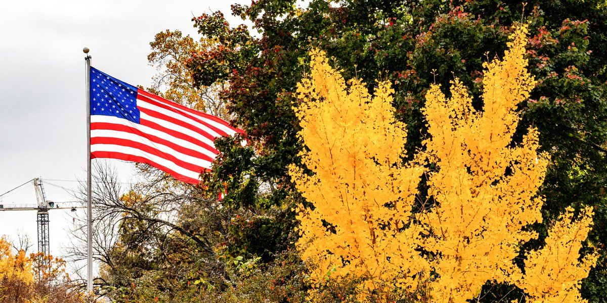 UNC's tweet photo. Thank you to all veterans for your service #VeteransDay #UNC 🇺🇸 https://t.co/R6cJpNbQhl