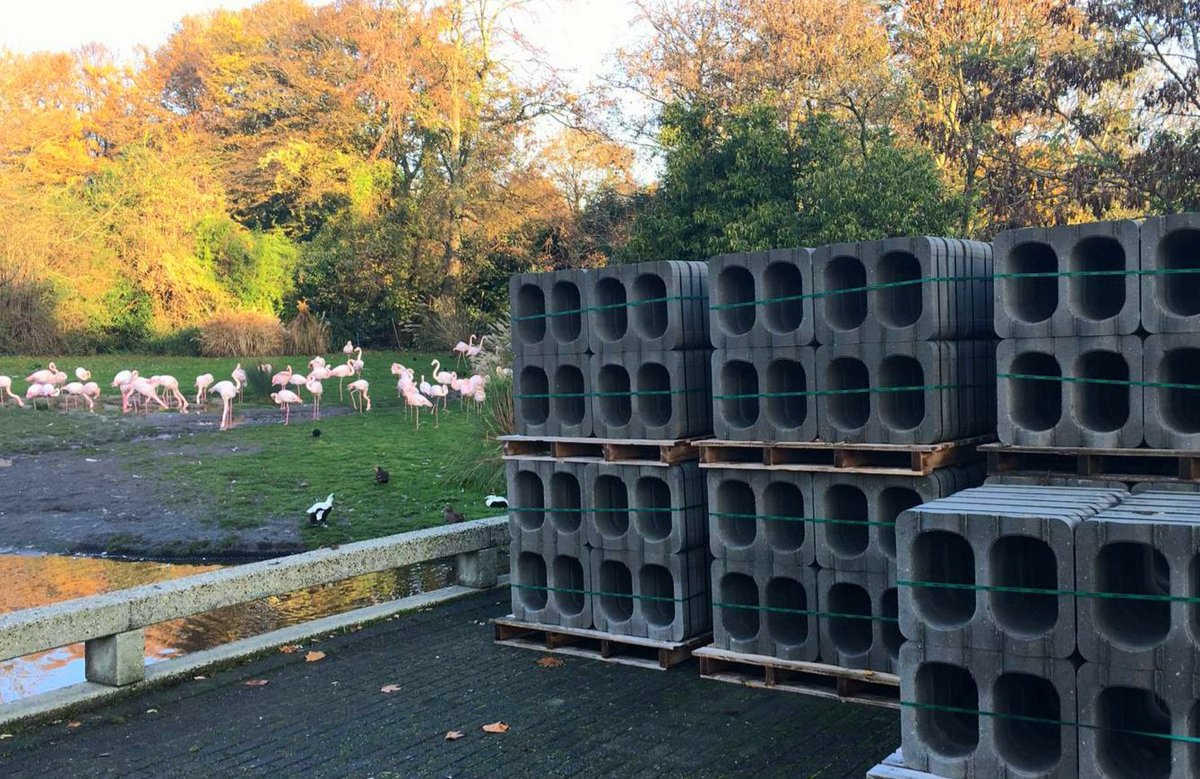 Ze staan nog even te genieten van het uitzicht op de flamingo's, maar volgende week mogen ze echt de grond in voor de komende decennia's! #waterbuffer #hergebruik #zuivering