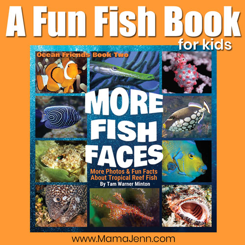 TravelwithTam's tweet photo. Studying Ocean Life with Delight-Directed Science for kids! https://t.co/N8AsVNa2ok #fish #marinescience #kidsbooks #homeschoolcurriculum @homeschoolsara #homeschoolmoms @PADI #ouroceanourfuture #underwaterwednesday  #paditorchbearers #queenofmantas @MarineMegafauna #fishfaces https://t.co/3nIlp6F0Jr