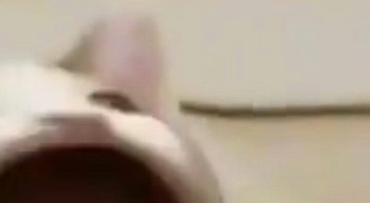 smilespudding's tweet photo. Foi? 🤡🤡🤡 https://t.co/4wjOrXKNWv