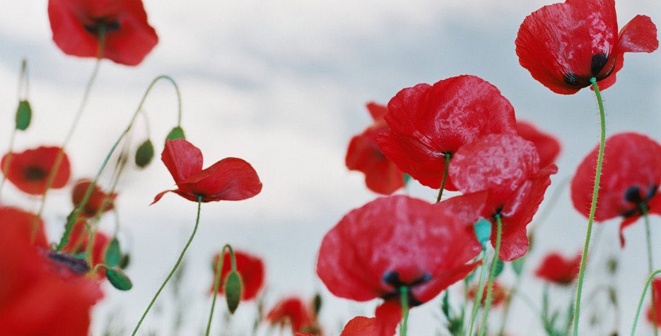 Lest we forget.