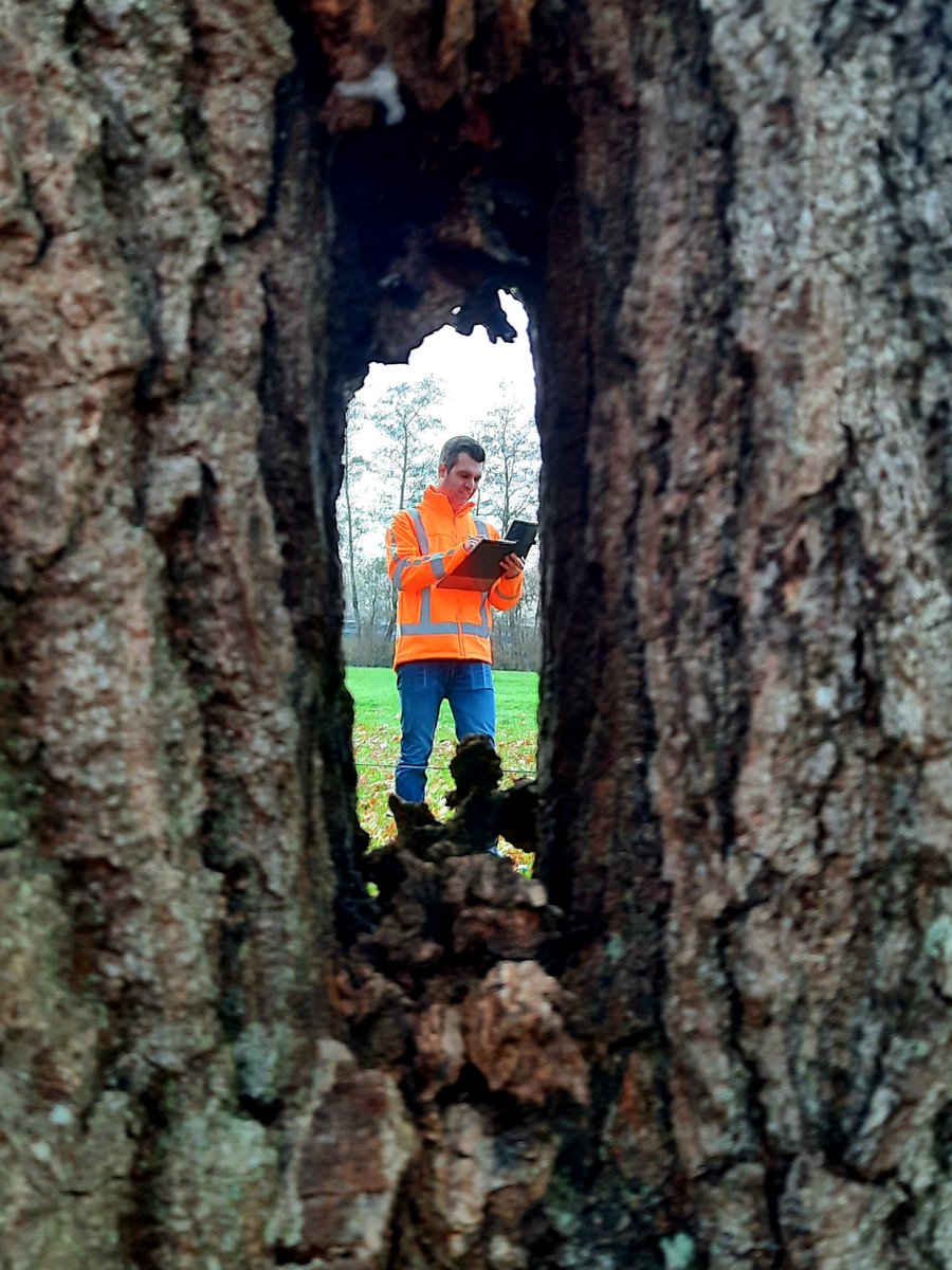 Als je goed op let kan je ze zomaar tegenkomen: de medewerkers van <a href="/StadLandWater/">StadLandWater</a>. Nu ook in weilanden en bij zandwinplassen in Friesland.