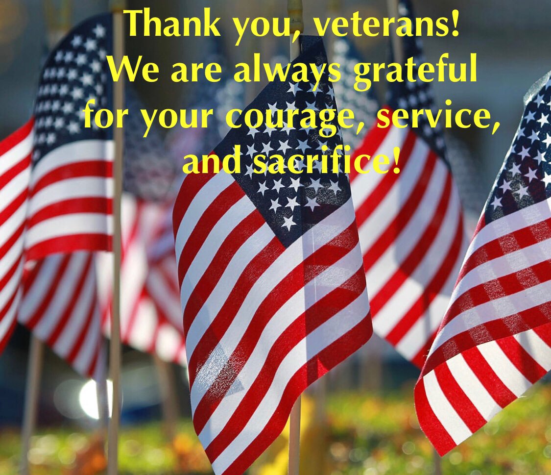 From all of us at AVS, we want to say THANK YOU to our veterans! 🇺🇸