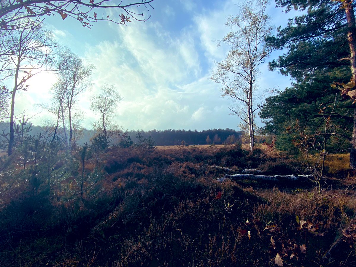 Vrije dag, dat is wandelen!