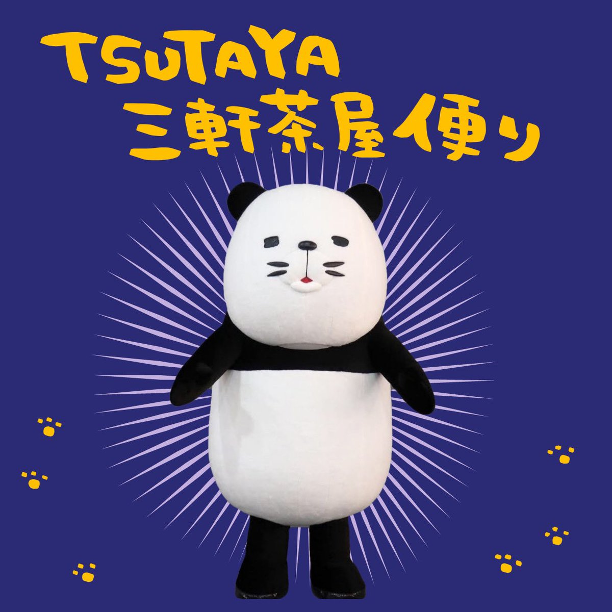 スティーヴン スピルハンバーグ Tsutaya三軒茶屋便り その1でございますー パンダと犬 犬かわいい スティーヴンスピルハンバーグ