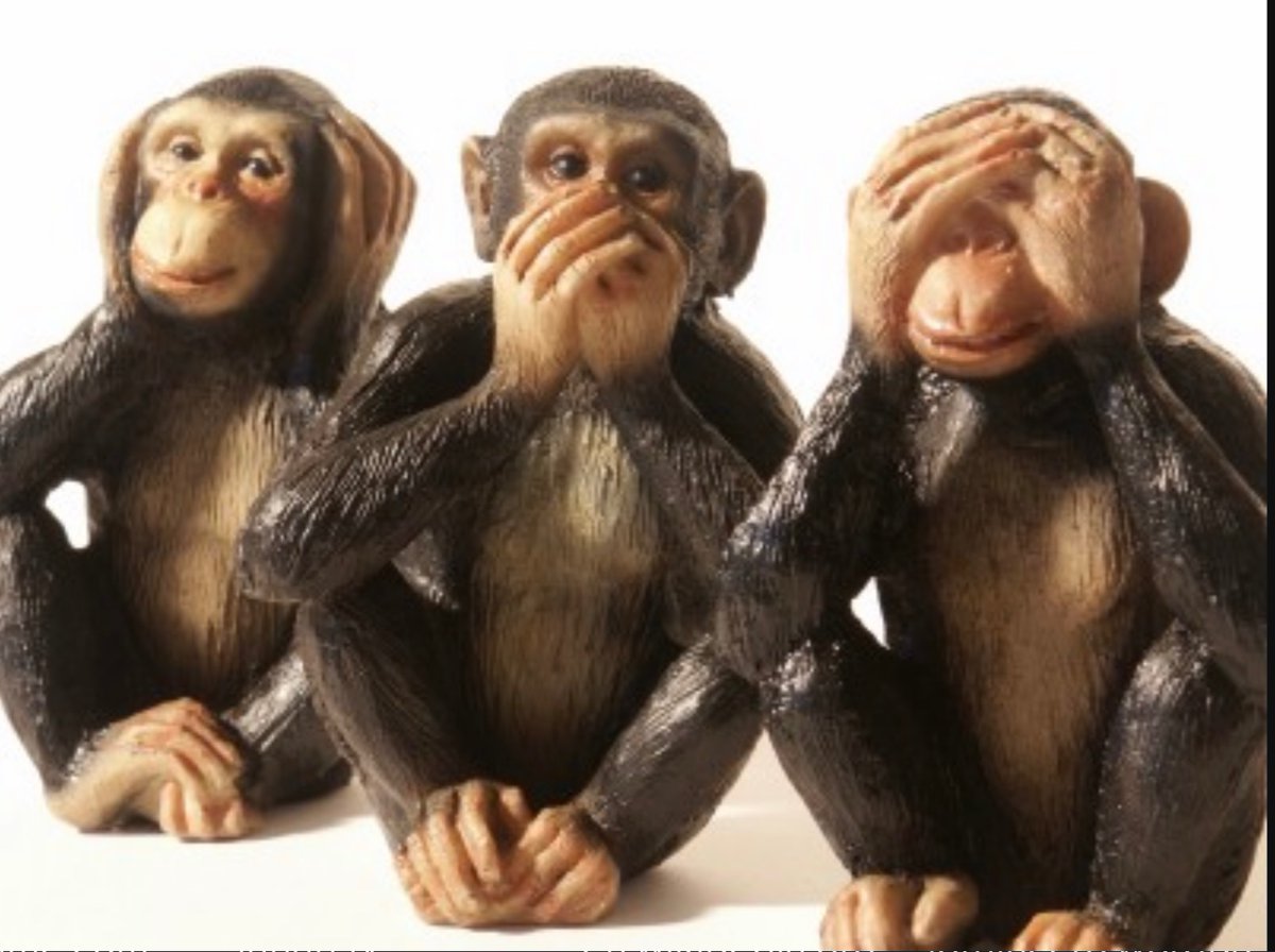 Пока ничего не вижу. Три обезьяны. Три Мудрые обезьянки. Мудрая обезьяна. Обезьянки ничего не вижу ничего.