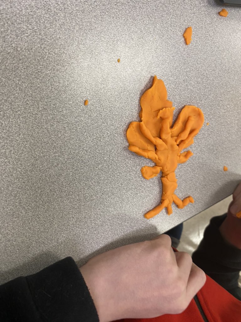 with_alexander's tweet photo. Making parts of a flower/plant with play-dough today with 6th grade agriculture! #teachag #mcmsag #agwmsa https://t.co/XLVNGVdxsJ