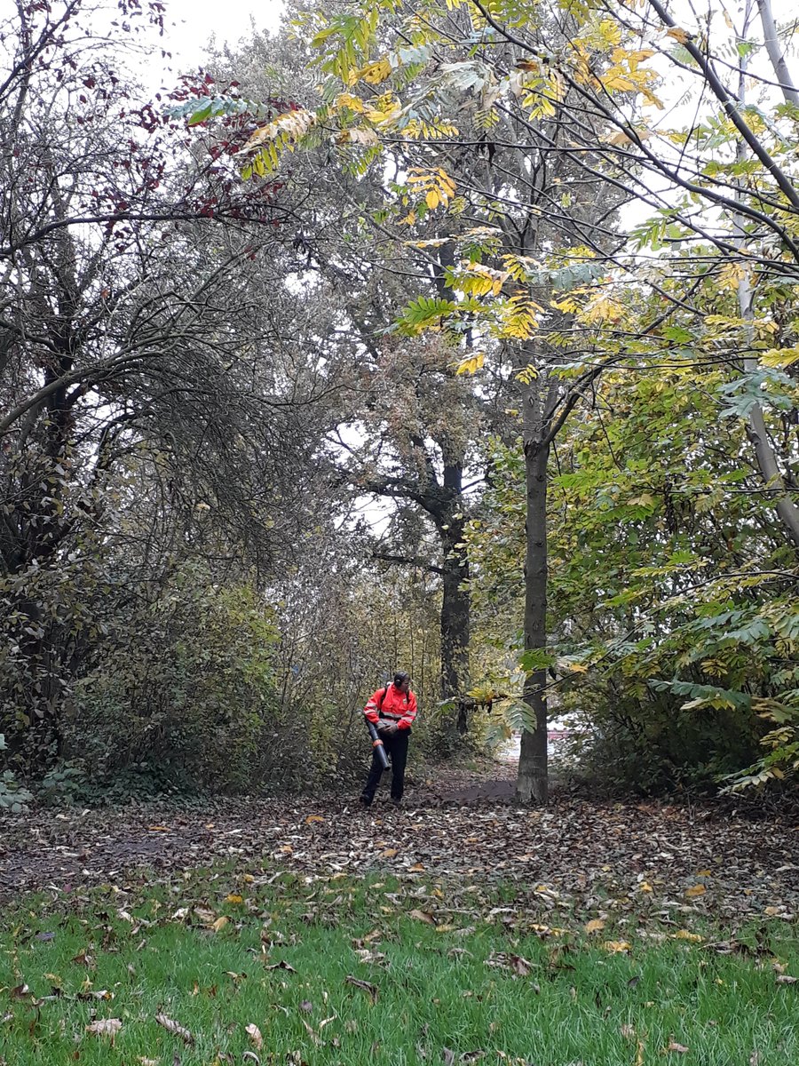 Onze Buitenruimte tweet media