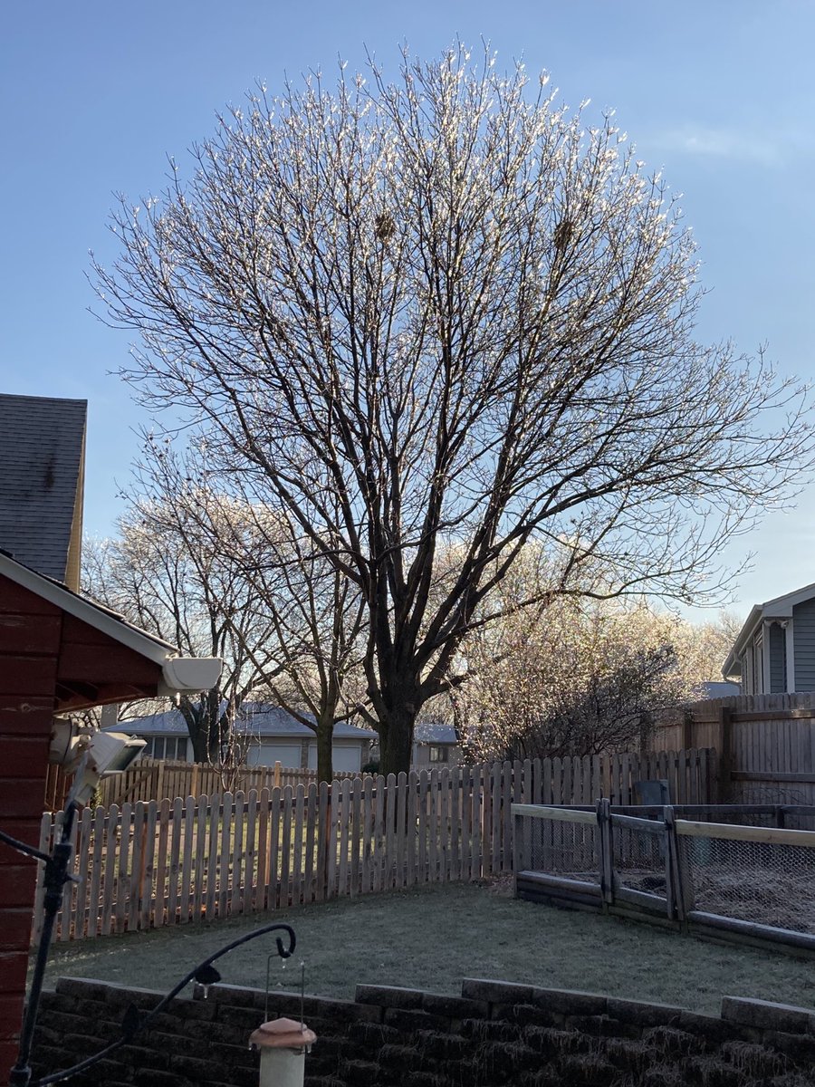 KacvinskyBob's tweet photo. Light freezing rain yesterday left a beautiful sparkling panorama this morning. I’ve reflecting morning sunrise. https://t.co/uiqV0yYWEv