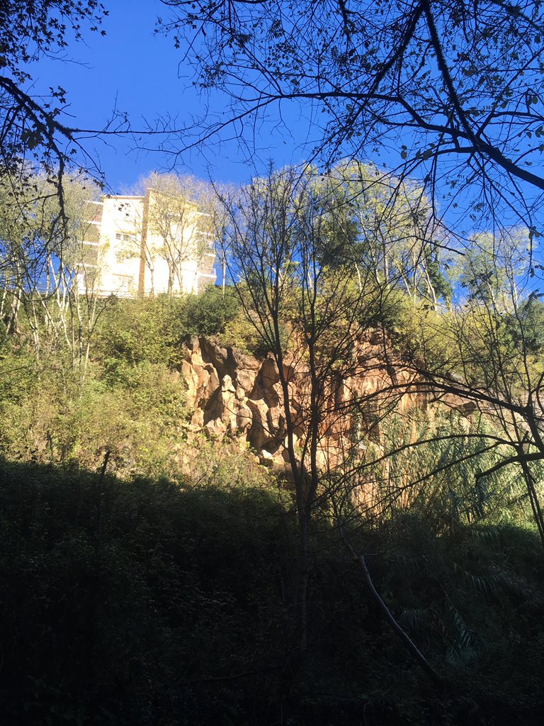 rogersantalo's tweet photo. Visita periòdica a la #cinglera de #castellfollitdelaroca, pel vessant del riu Turonell. La caiguda de les fulles facilita la visualització de l’estat de les colades @ajcastellfollit @ICGCat #pnzvg https://t.co/460UrSbrNO