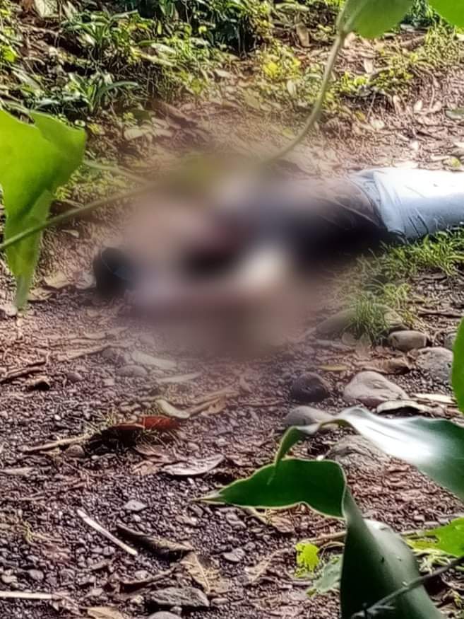 ElRebeldeGt1's tweet photo. #SUCHITEQUEZ  persona fallecida de Género masculinolocsluzada en Aldea Margaritas de San Antonio Suchitepéquez,sin identificar a la espera de las Autoridades correspondientes @vichoguate @RBCNoticiasGT @juanVictorCas1 @MTunchez_19 @FridelMejicanos https://t.co/Dw6cee5G6C