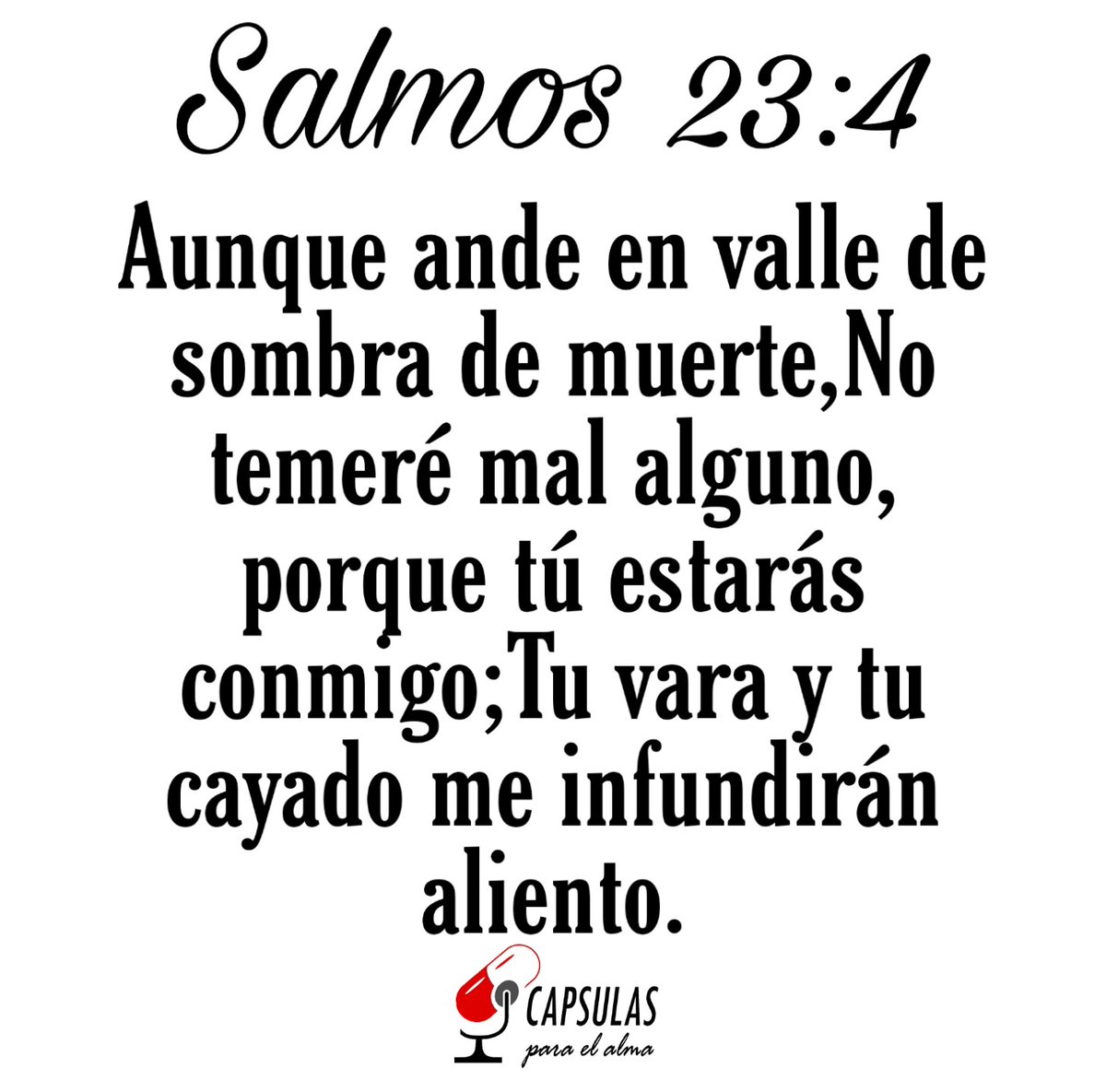 RicardoBonillaQ tweet picture
