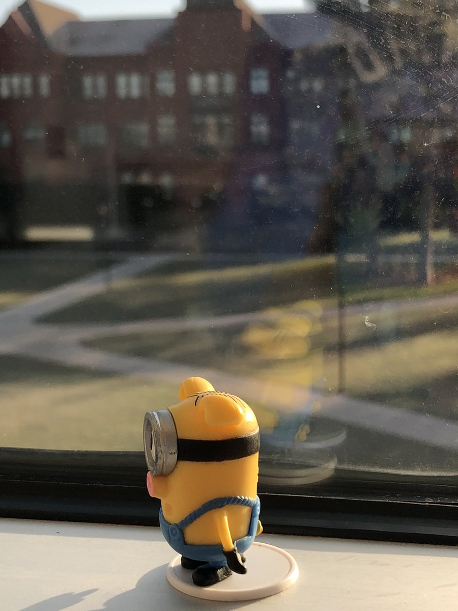 MosherSophie's tweet photo. Aesthetic pictures of the minion perched in the windowsill on the 3rd floor of the Wesleyan science building https://t.co/XUepV4C7mm