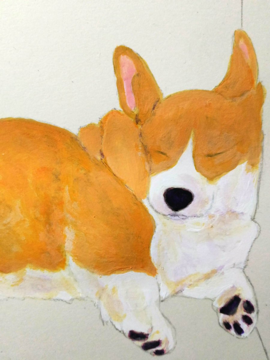 あお お顔が潰れたコーギーのイラストが完成しました 輪郭線を細くして最小限に留めてみました 輪郭線を細くすると その分 加工のために切り抜くときは大変です 笑 コーギーの寝ているときの変顔は良いですね 画材 リキテックス コーギーイラスト