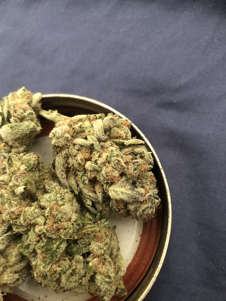 dirtybanger tweet media