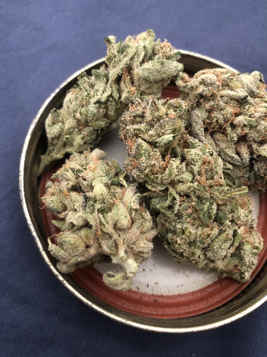 dirtybanger tweet media