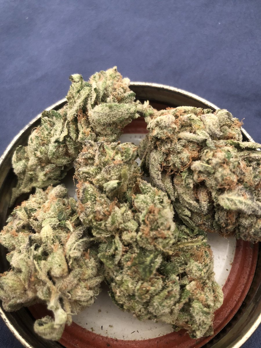 dirtybanger tweet media