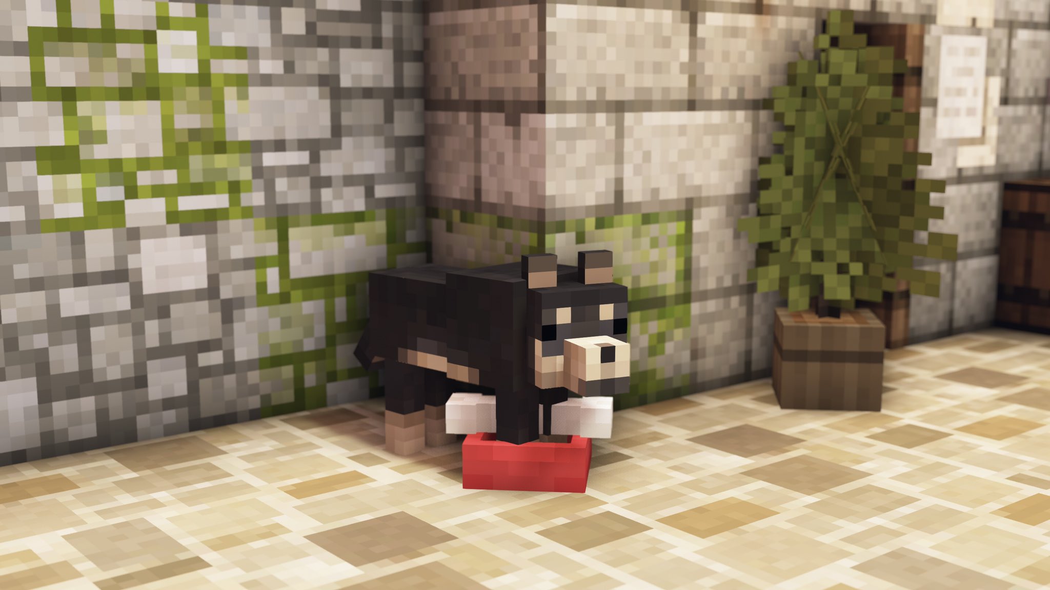 Mizuno M Sebascha Twitter