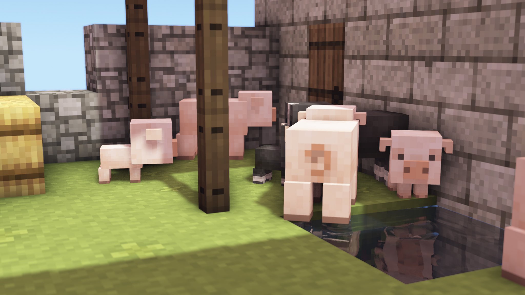 Mizuno M Sebascha Twitter