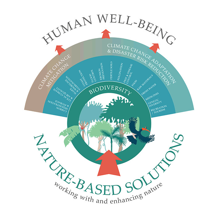 Irishwildlife's tweet photo. Did you know that restoring natural ecosystems can make a dramatic contribution to our climate change targets?

Join us for a webinar on 'nature-based solutions' next Monday - register here 👇
https://t.co/T61tbFqM3A https://t.co/H8eYVGz6Wu