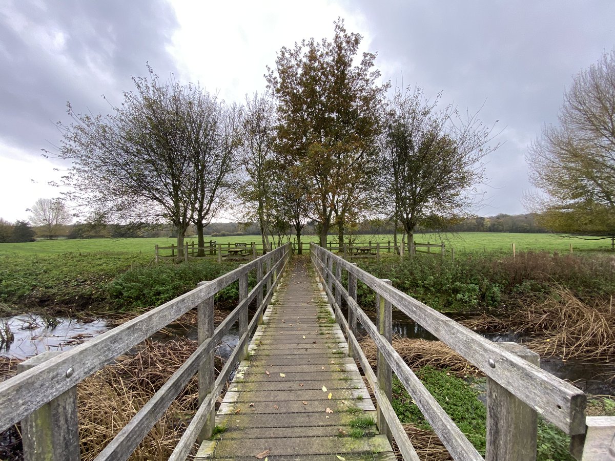 One last C in our  #AtoZofLockdownColchester, and it's for  #CymbelineMeadows. Something of a hidden treasure, just north of the town centre and brimming with nature in its woodland, riverbanks & meadows. The  @Cymbeline_Colne twitter account is a joy too. https://www.visitcolchester.com/things-to-do/cymbeline-meadow-p1191131
