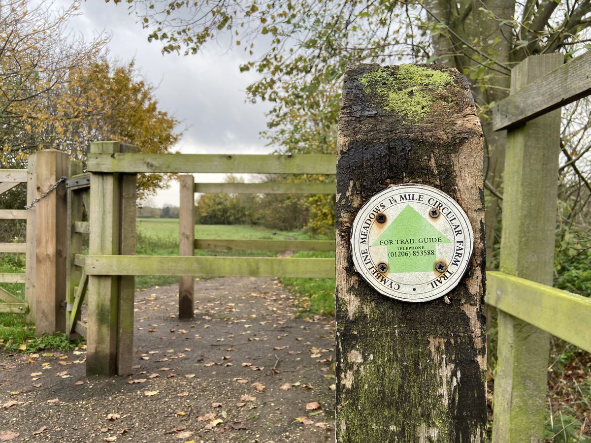 One last C in our  #AtoZofLockdownColchester, and it's for  #CymbelineMeadows. Something of a hidden treasure, just north of the town centre and brimming with nature in its woodland, riverbanks & meadows. The  @Cymbeline_Colne twitter account is a joy too. https://www.visitcolchester.com/things-to-do/cymbeline-meadow-p1191131