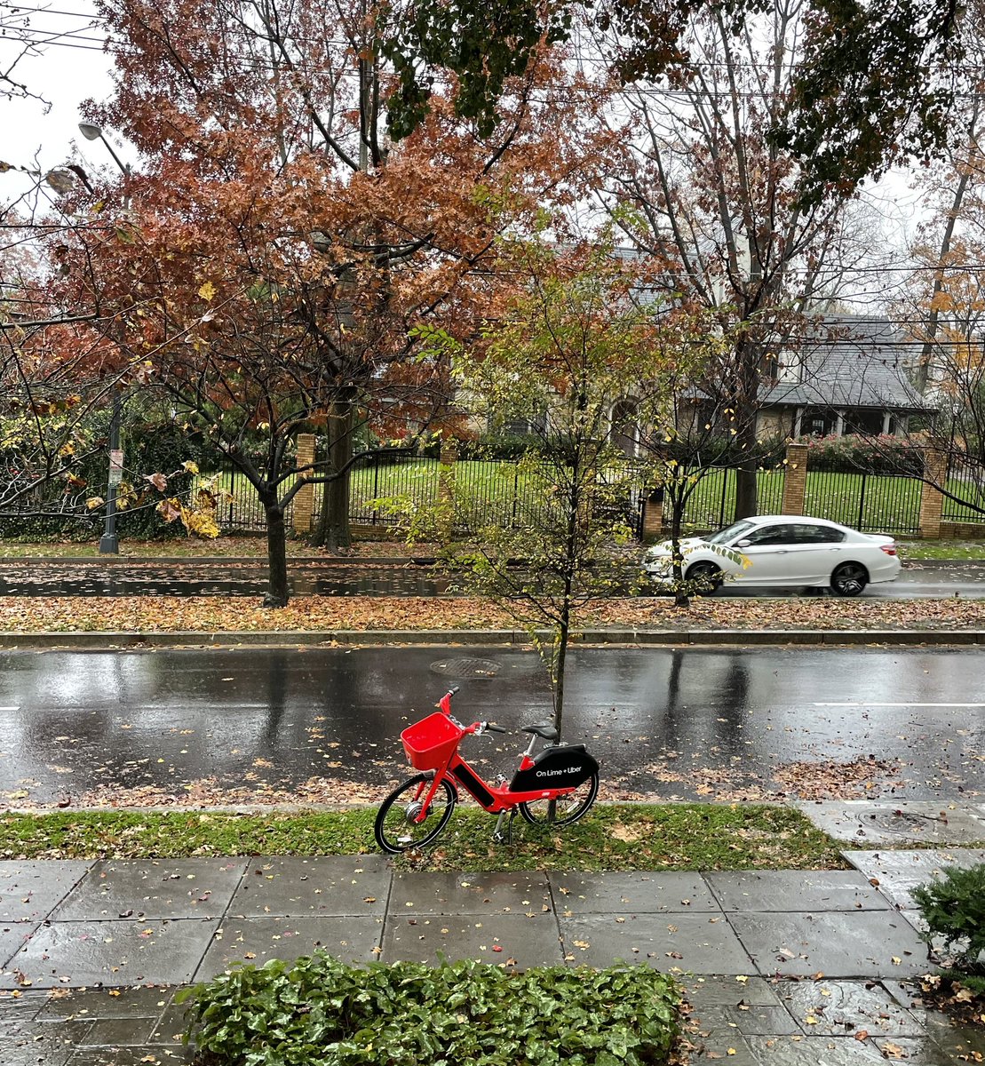 thematadorsport's tweet photo. @DDOTDC for 4 days this @Uber bike has been locked to a tree on my lawn. #uber won’t remove it. Can I? @MayorBowser @councilofdc #boycottuber #ubersucks #trash #litter #trespass #day4 https://t.co/0tH5II1Kss