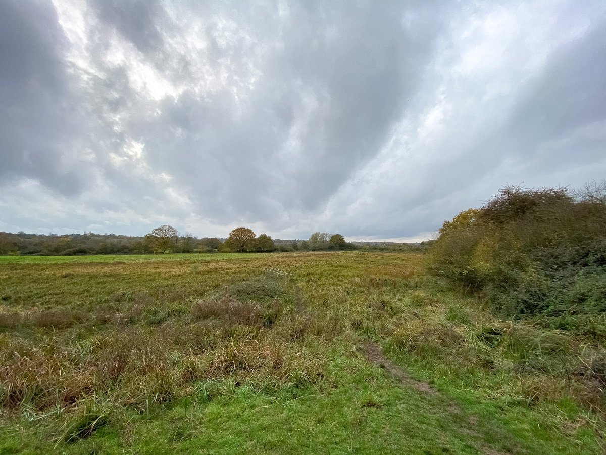 One last C in our  #AtoZofLockdownColchester, and it's for  #CymbelineMeadows. Something of a hidden treasure, just north of the town centre and brimming with nature in its woodland, riverbanks & meadows. The  @Cymbeline_Colne twitter account is a joy too. https://www.visitcolchester.com/things-to-do/cymbeline-meadow-p1191131