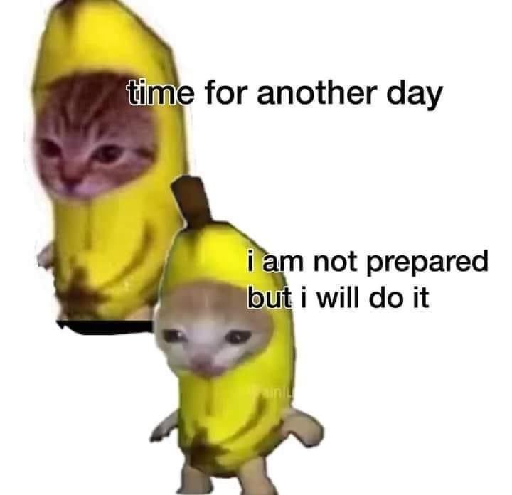 ✨girly🧚🏻‍♀️poppenheimer✨ (@yallmindifiahhh) on Twitter photo 