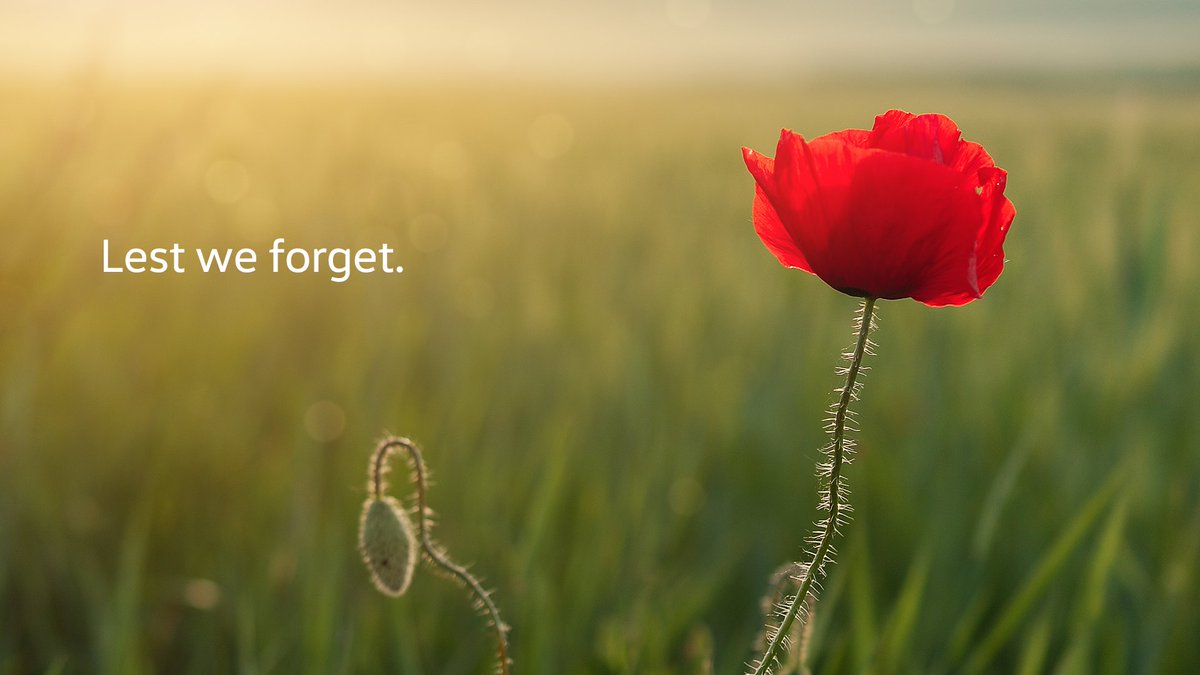 VWstjohns's tweet photo. Today we remember their sacrifice. 
#LestWeForget #RemembranceDay https://t.co/CEC7mZcylM