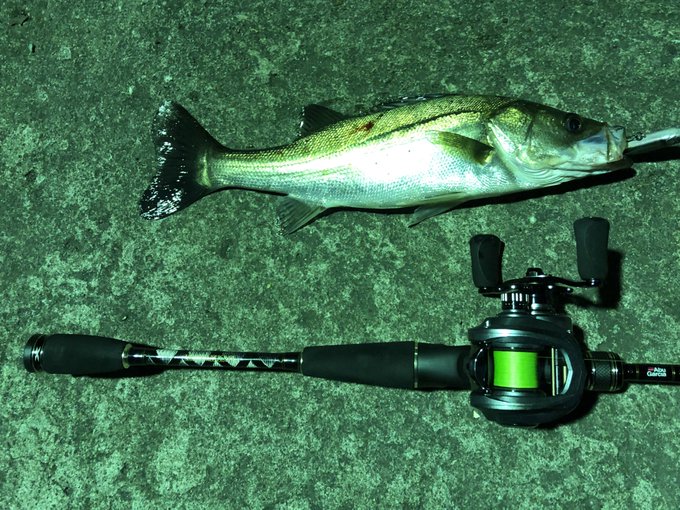 アブガルシア ワールドモンスター WMCC 654M MGS シーバス 正式