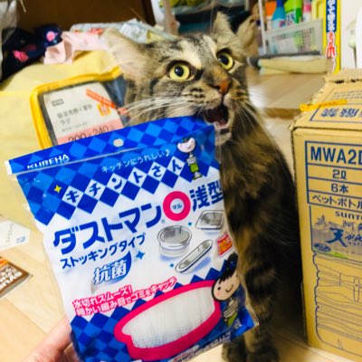 umikuun's tweet photo. #新しいプロフィール画像 https://t.co/OHPlPVILxa