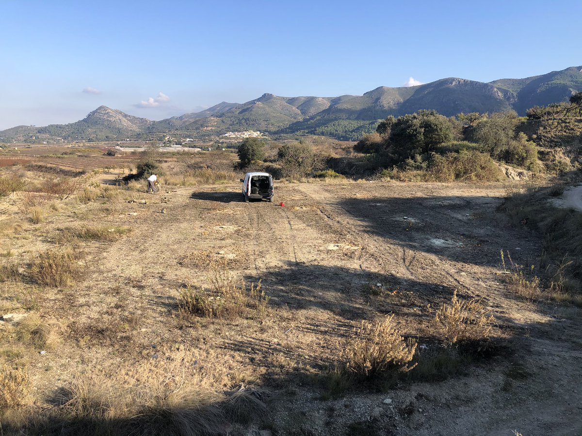 MEA_es's tweet photo. Seguimos trabajando en nuestra finca gestionada Escudellers en Montitxelvo para en los próximos meses plantar olivos nuevos. https://t.co/UjEECwDAG5