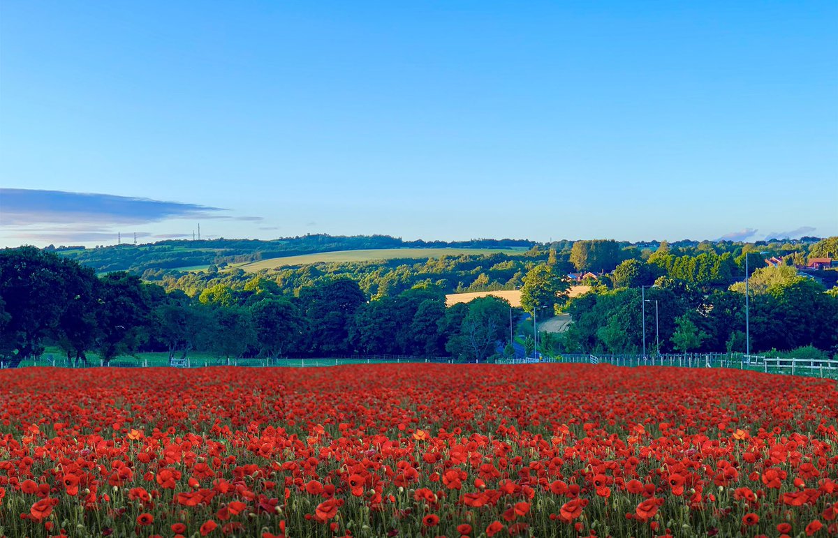 They shall grow not old, as we that are left grow old:
Age shall not weary them, nor the years condemn.
At the going down of the sun and in the morning
We will remember them. #Billingeremembers