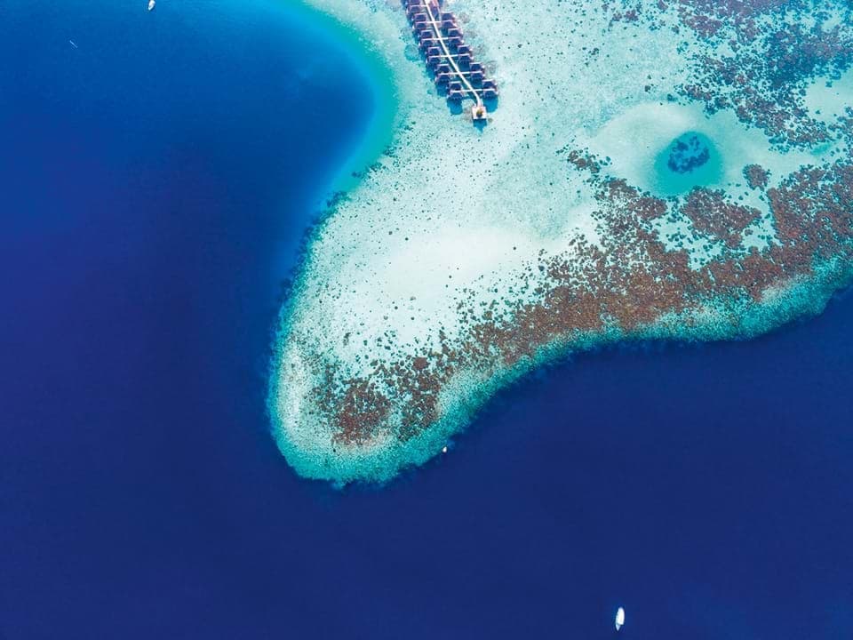 African Synergy tweet media