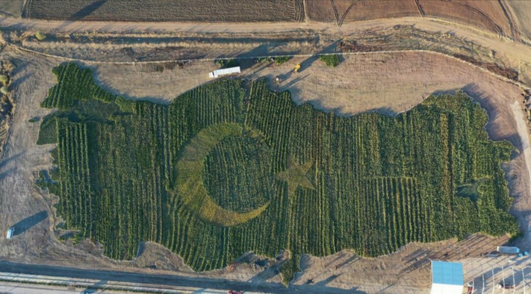 Okulumuzun Esenboğa kampüsünden ağaçlarla yapılmış muhteşem bir görüntü 🇹🇷🇹🇷