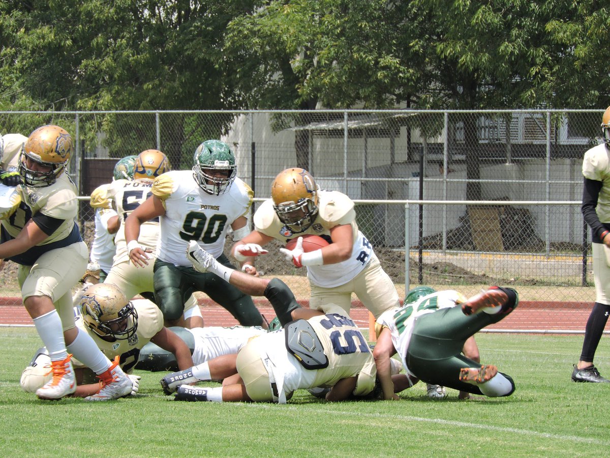 OnefaOficial's tweet photo. @_PotrosSalvajes vs @AcatlanPumas
#IntermediaOnefa #delArchivo
2da parte
πππππππ±π±π± https://t.co/zWfTBjkxol