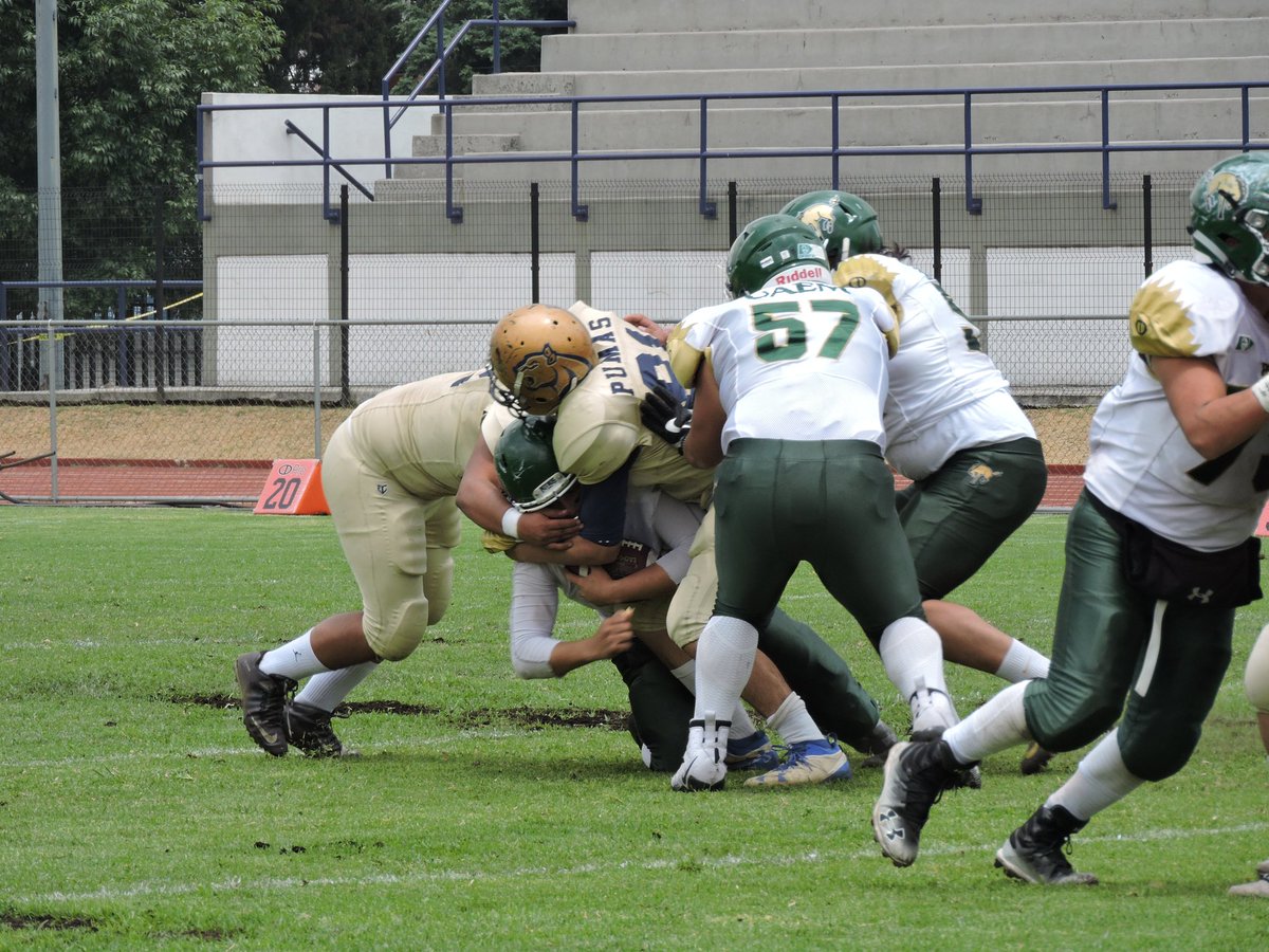 OnefaOficial's tweet photo. @_PotrosSalvajes vs @AcatlanPumas
#IntermediaOnefa #delArchivo
2da parte
πππππππ±π±π± https://t.co/zWfTBjkxol