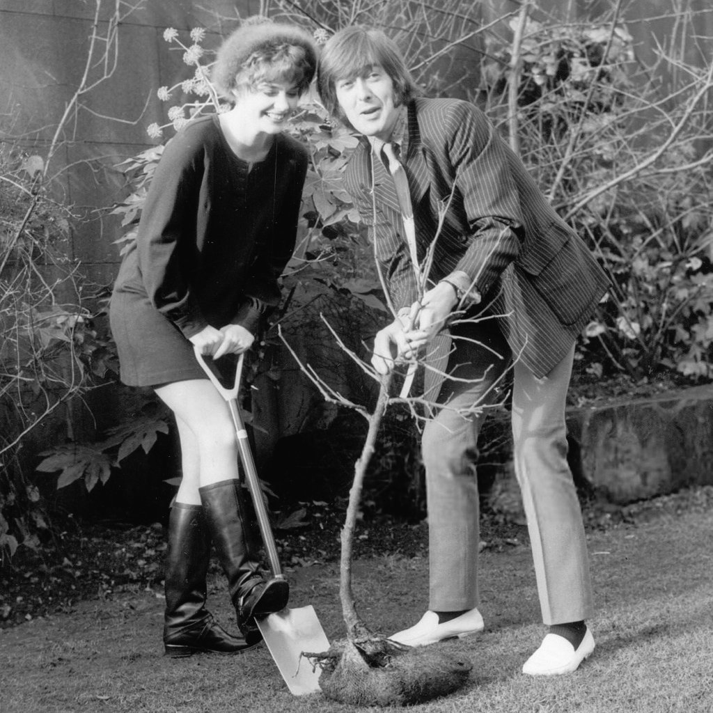 Premiere of 'Here we go round the Mulberry bush' Actress #AngelaScoular and #SpencerDavis who played on the movie soundtrack pictured in the gardens of Les Ambassadors. London January 1968. 
'Here we go round, I'm looking for someone
Mulberry bush is calling to me'