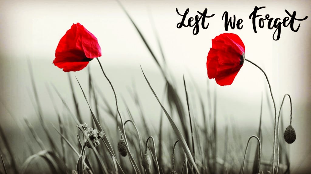 bickhamhouse's tweet photo. #RemembranceDay2020 #altrincham #PoppyDay https://t.co/IjTcQl4T2G