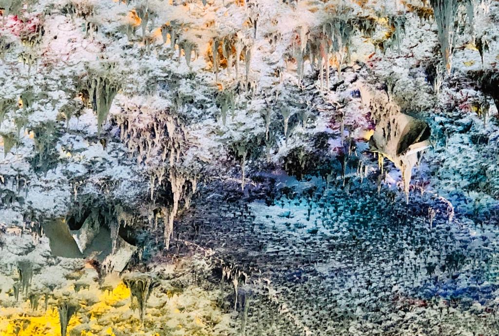 UN Human Rights Council tweet media