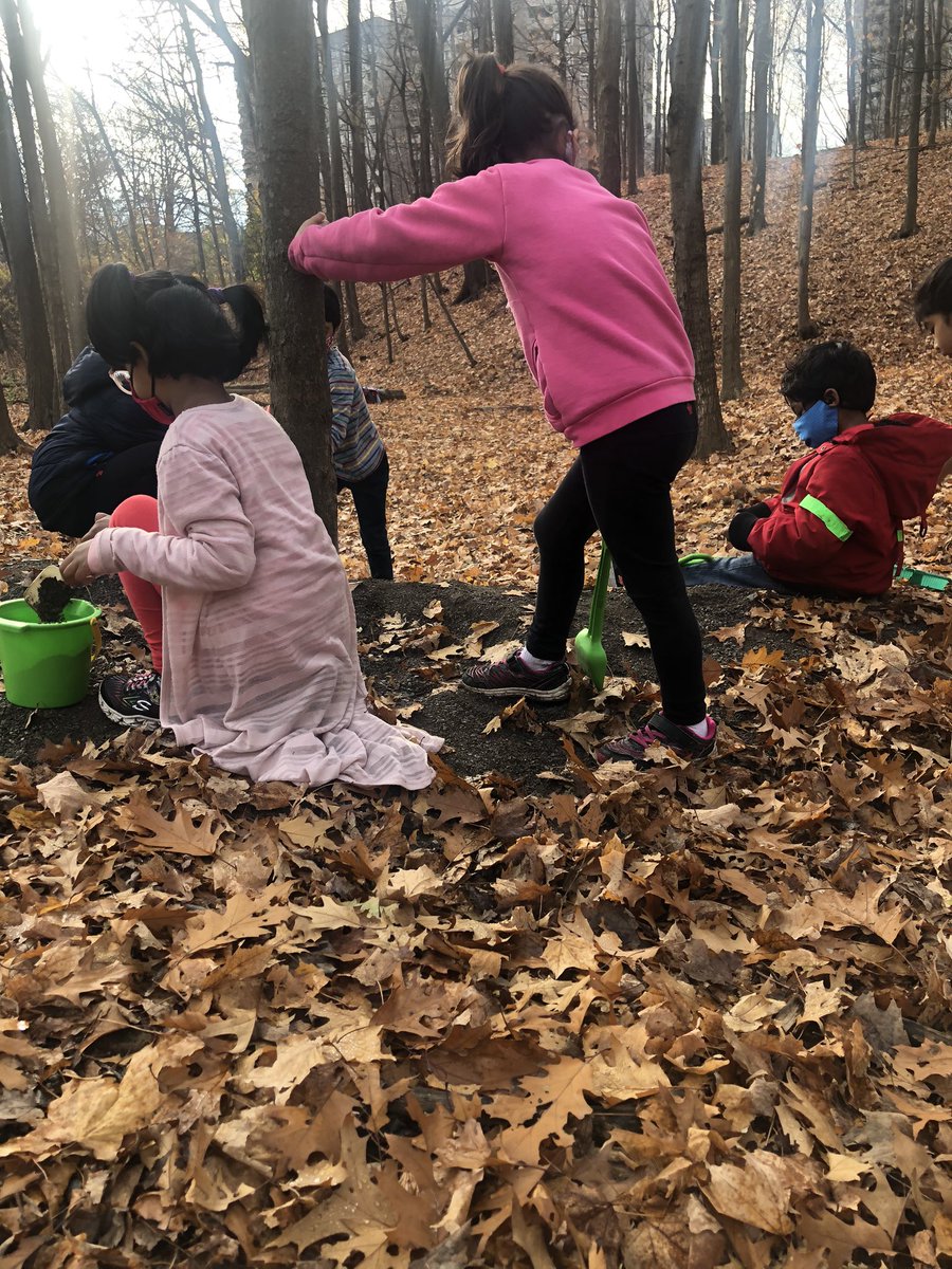 We found a spot to dig and play with what nature is providing us. Such a beautiful opportunity for children to feel the rain-soaked ground and the wet and dry leaves! #unstructuredplay #outdoorlearning <a href="/ThornwoodPS/">ThornwoodPS</a> <a href="/DVanHooydonk/">Darren VanHooydonk</a> <a href="/PeelSchools/">Peel District School Board</a>