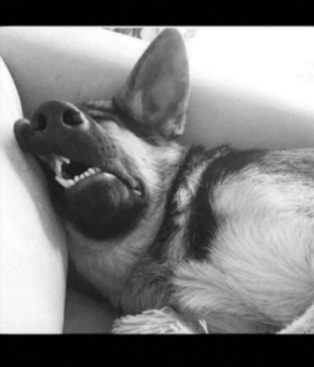 #يوم_العزاب_العالمي ماخذين راحتنا على الاخر