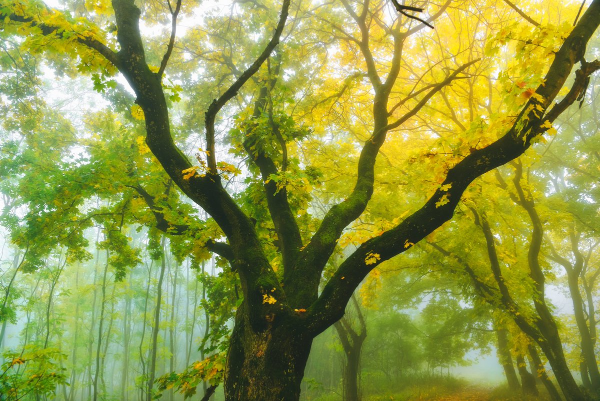 🎬 Use Our Music in your video project: found.ee/useourmusic

You can find a new section on our websites where you can license music for your video projects. Just added 6 new, very cinematic songs. Finally a place where all CVS activities merch together. Exciting times!