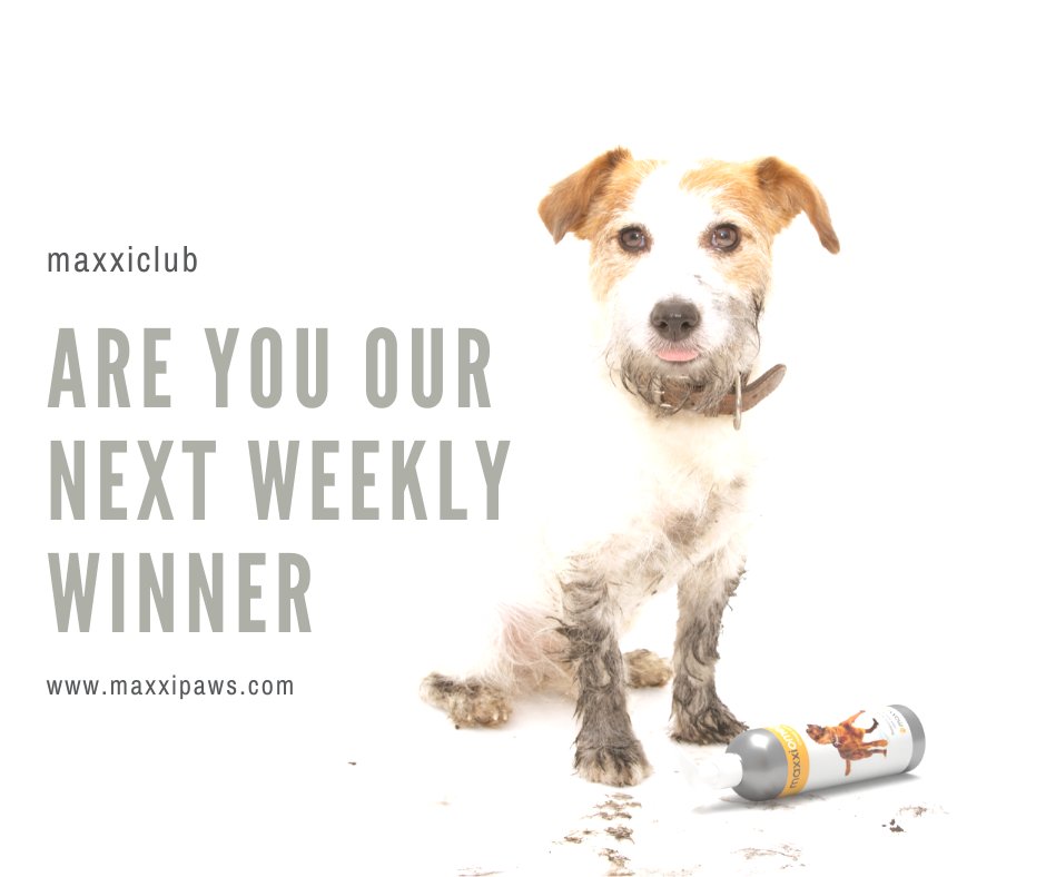 maxxipaws's tweet photo. Just join our maxxiclub for your chance to win! https://t.co/EEC0ncXMCp
#weeklywinner #youcanwin #maxxiclub #dogshealth #catshealth #doglovers #dogowners #catlovers #catowners #win #maxxidog #maxxiclubwinner https://t.co/nSMKg3zY9c