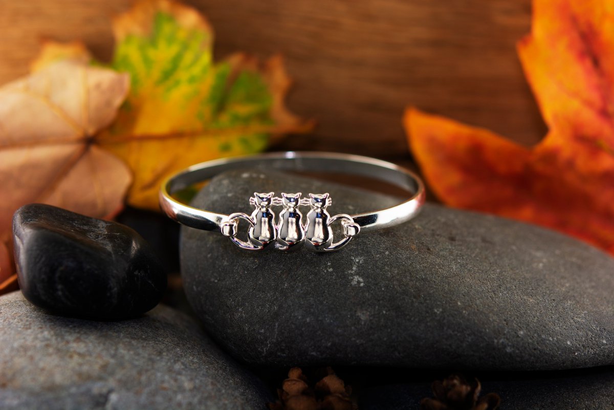 TheTouchJewelry's tweet photo. Fall Swaptops are in play! email us at info@the-touch.com to find out more. #fashion #fallfashion #jewelry #falljewelry #swaptop #interchangeablejewelry #bracelet #cuff #silver #gold #pumkin #cats #mapleleaves #owljewelry https://t.co/CFLdG7BTqK