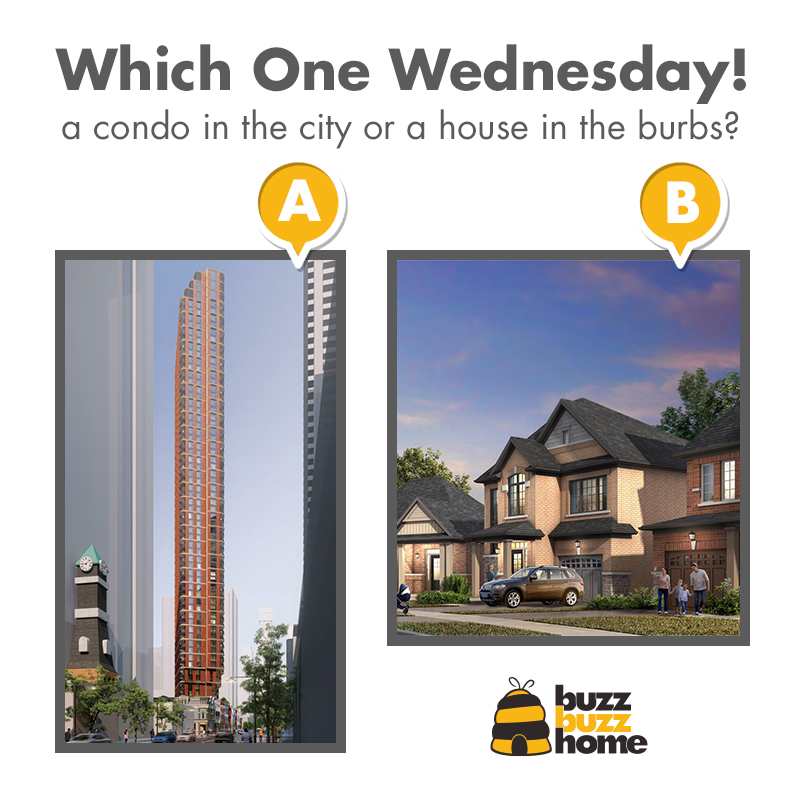 BuzzBuzzHome tweet media